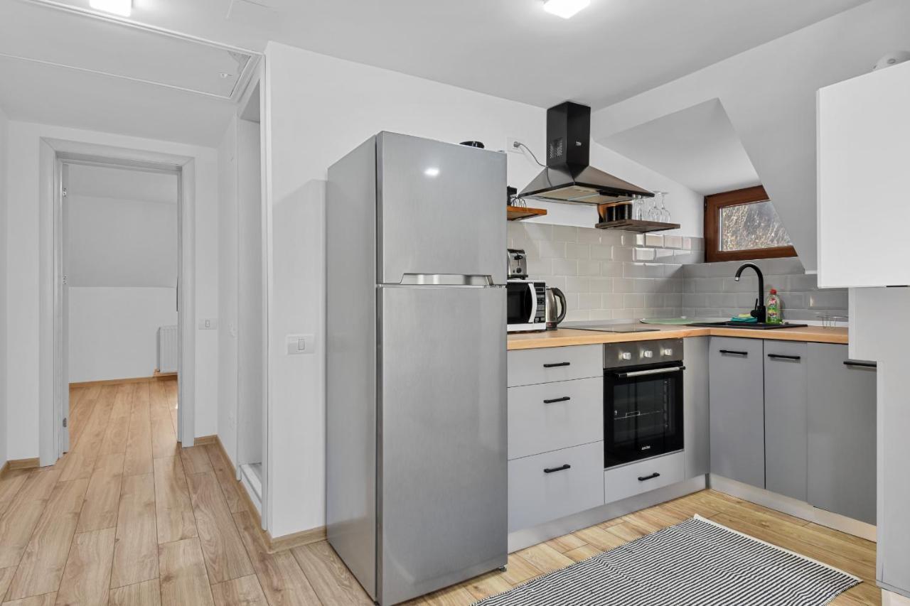 Two Bedrooms Hytta Apartment Sinaia Buitenkant foto